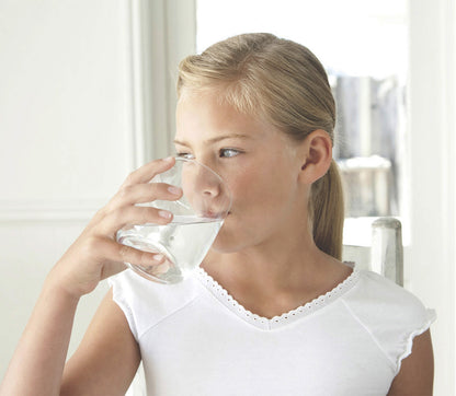 Sub-Zero 4204490 Refrigerator Water Filter - 4290510 Water Filter