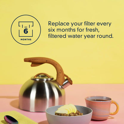 Everydrop Refrigerator Water Filter A - EDRARXD1