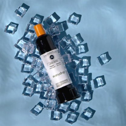 Everydrop by Whirlpool Ice Filter, F2WC9I1