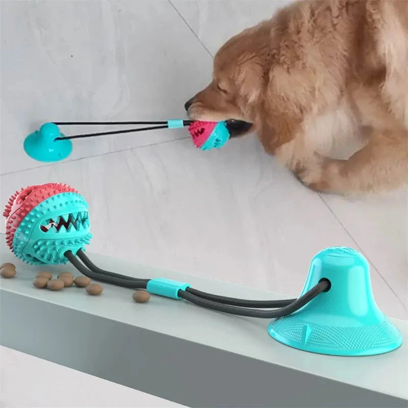 Suction Ball Interactive Dog Toy Tech Terracon 